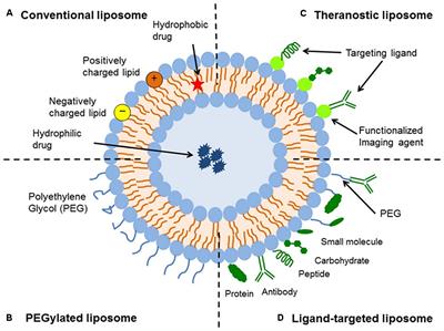 Advantages and Limitations of Current Imaging Techniques for Characterizing Liposome Morphology